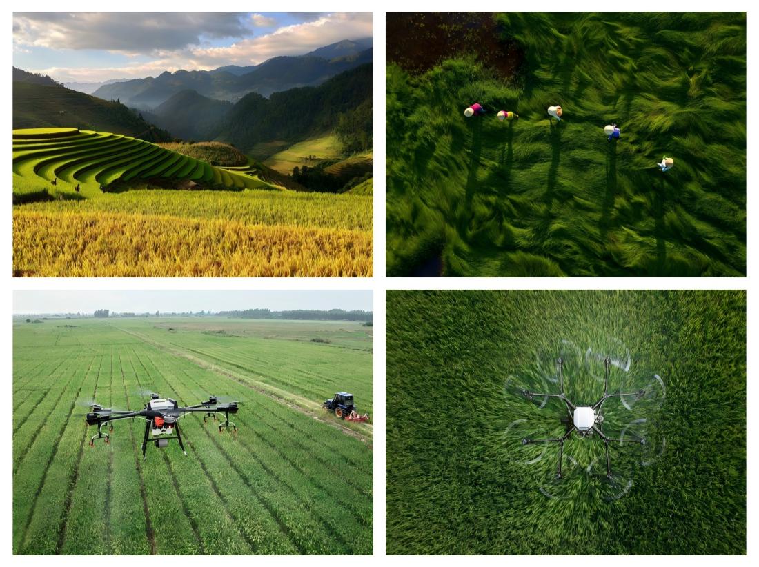M12-lenses-in-drone-aerial-photography-02